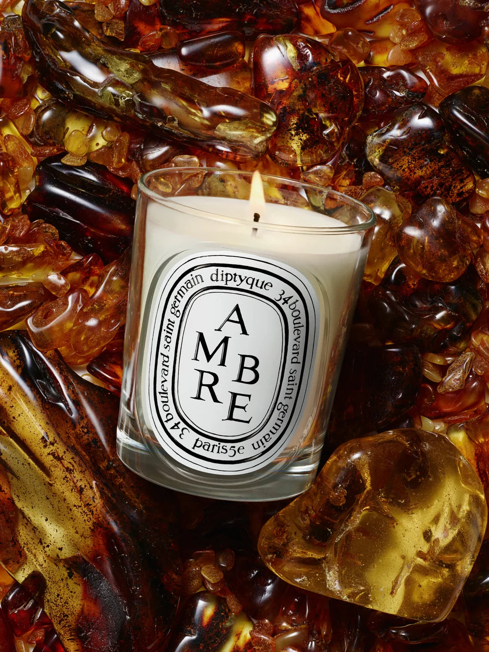 Diptyque Amber Standard Candle