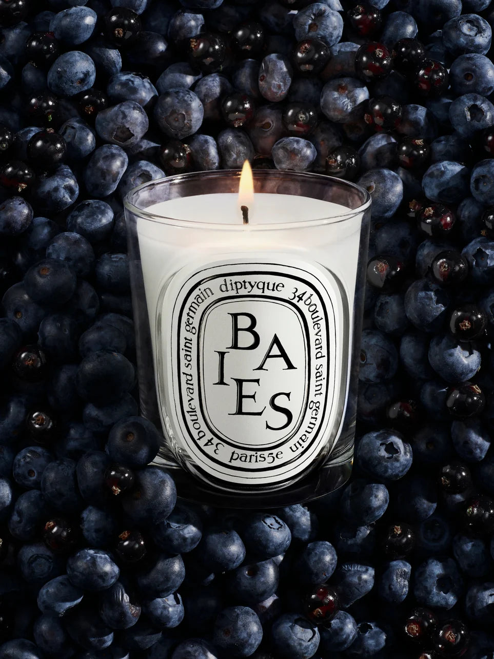 Diptyque Baies Standard Candle