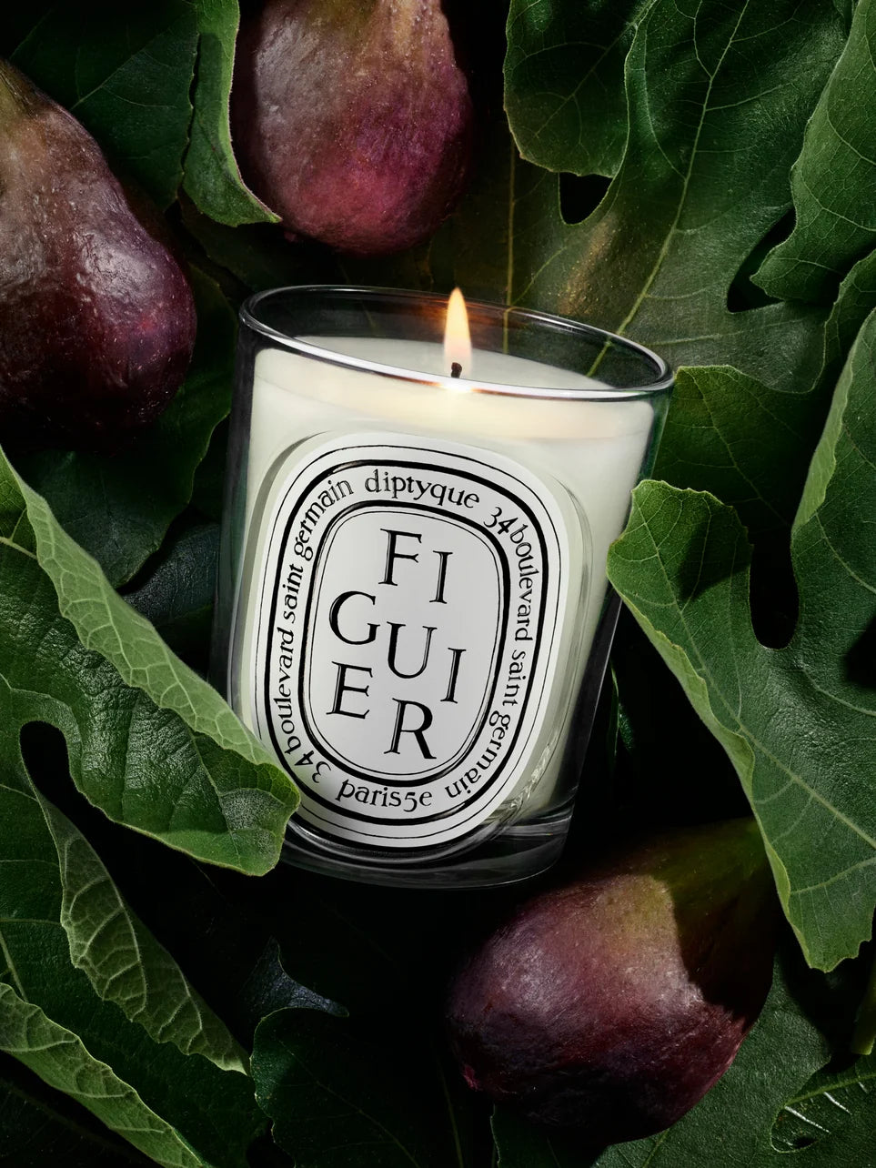 Diptyque Figuier Standard Candle