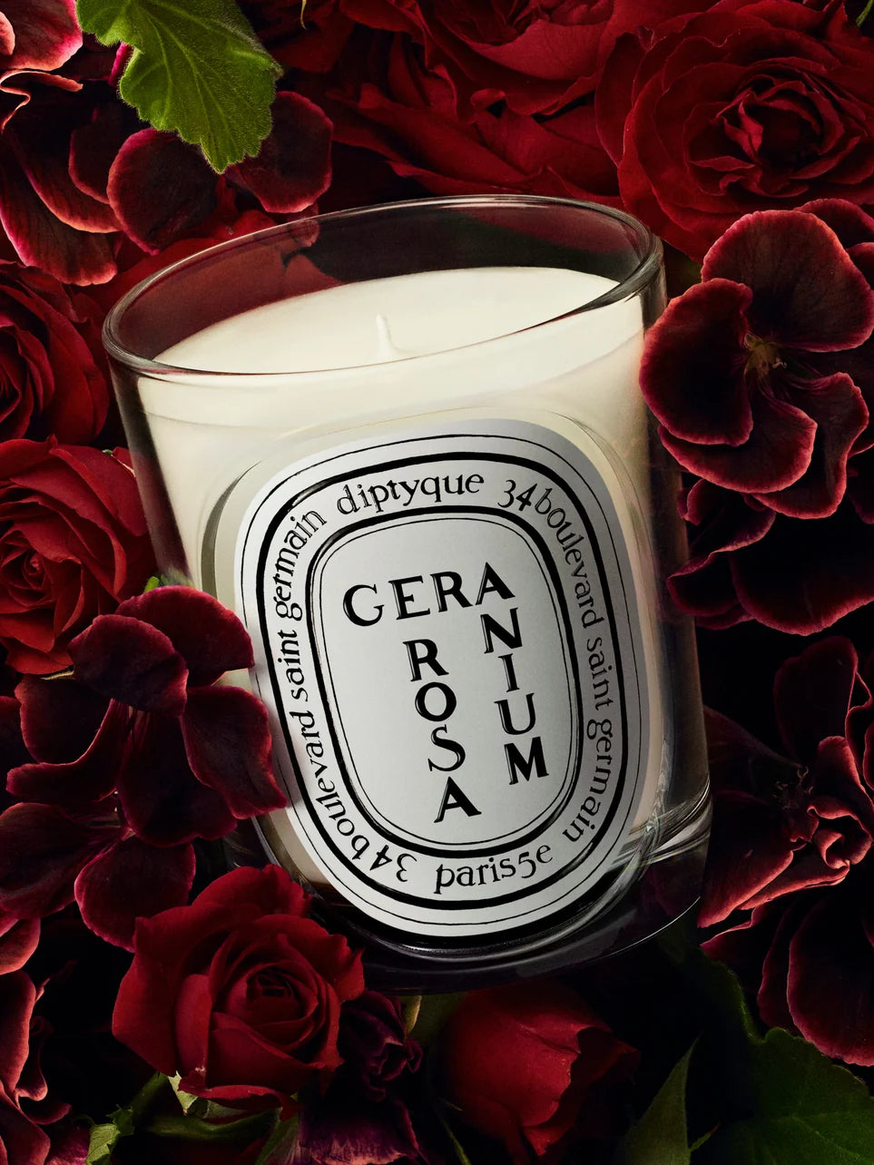 Diptyque Geranium Rosa Standard Candle